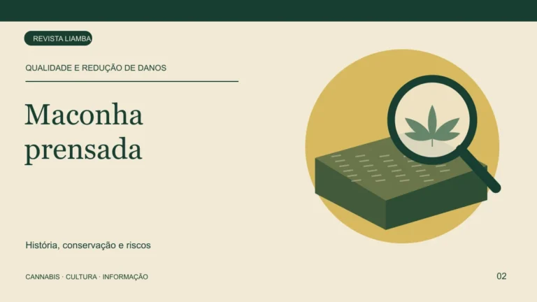 Ilustração de bloco de maconha prensada sob uma lupa, relacionada à qualidade e aos riscos do consumo.
