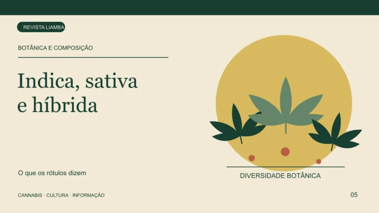 Ilustração de folhas de cannabis com formas variadas sobre os limites dos rótulos indica, sativa e híbrida.